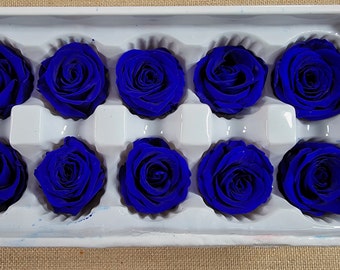 10Pcs Deep Blue Preserved Rose, Preserved Flowers,Real Rose Royal Blue, Dried Blue Rose, Royal Blue Wedding Flower, Deep Blue Floral Rose