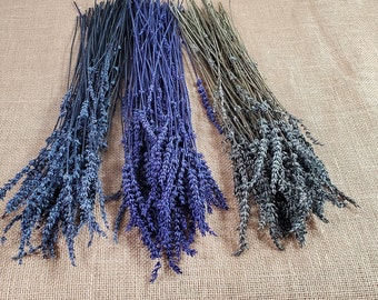 HIGHEST FRAGRANCE Preserved Lavender Dry Organic Bulk Wholesale| Dried Lavender flower|Relaxing Aroma|Relieves Stress|Freshen The Linens 4oz