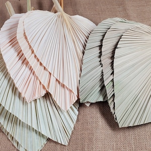 3 Pcs 20&quot;length x 10&quot;Width Natural Trimmed Dried Palm Leaves, Dried Palm Spear, Boho Wedding Decor, Luau Party Table Decor