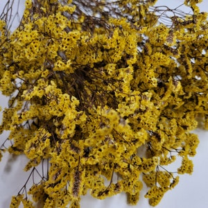 Yellow Preserved German Statice, Limonium Dried Flower, Crystal flowers, Floral arrangement, Wedding, DIY flower arranging, 19&quot;-20&quot;tall.