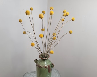 Yellow Craspedia Bundle: 20 Dried Billy Buttons, DIY Wedding Flowers
