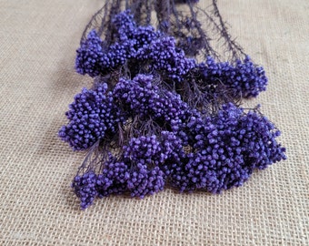 Purple Preserved Rice Flower: Dried Floral Arrangement Filler