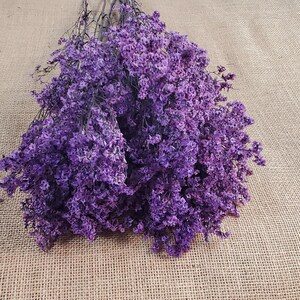 Light Purple Preserved German Statice, Limonium Dried Flower, Crystal flowers, Wedding, DIY flower arranging, 19"-20"tall. and 12oz