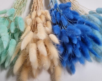 60 Stems Blue Dried Bunny Tail Grass: Boho Wedding Decor