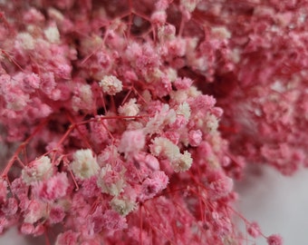 Natural Pink Preserved Baby's Breath Bundle, Unbleached Baby's Breath, Natural Gypsophilia, Preserved Gypsophilia