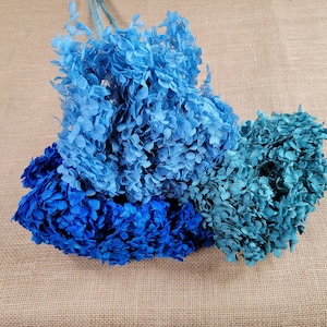 Preserved Hydrangea In Blue, Preserved Hydrangea,  Dried Hydrangea, Preserved Flowers, Dried Flowers, Real Flowers, Wedding Flowers