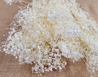 May include: A bunch of dried baby's breath flowers in a white color. The flowers are arranged in a loose, natural style and are perfect for adding a touch of elegance to any occasion.