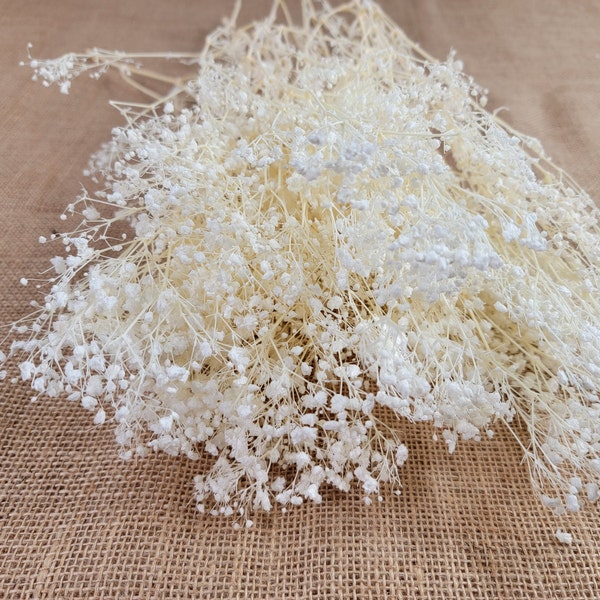 Preserved flower baby"s breath for Dried baby's breath, natural dried gypsophilia,Blush, wedding,