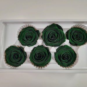 6 Dark Green Preserved Roses: DIY Floral Arrangements