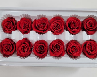 12 Red Preserved Roses / Prom, Mother's Day Flowers, Wedding Decor, Red Roses For Bouquet, Vase, Home Decor & DIY Floral Arrangements