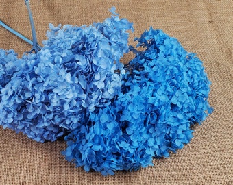 Preserved Hydrangea In Blue, Preserved Hydrangea,  Dried Hydrangea, Preserved Flowers, Dried Flowers, Real Flowers, Wedding Flowers