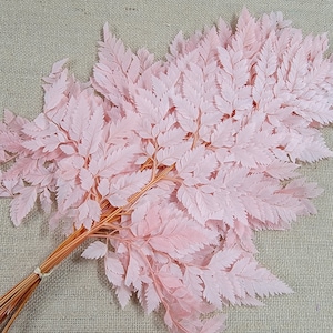 Preserved Pink Fern Stems: Soft Leather Leaf Floral Decor