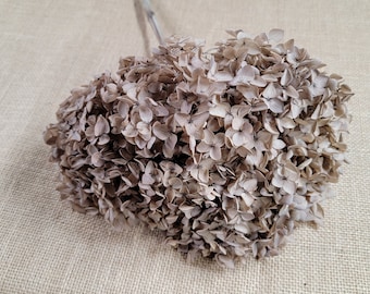 Coffee Infused Preserved Hydrangea: Real Dried Wedding Flowers