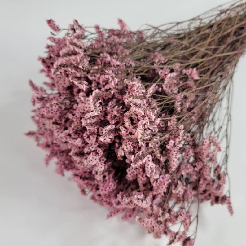 May include: A bunch of dried pink baby's breath flowers with brown stems.