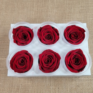 6 Pcs Red Color Rose,  Preserved Rose, DIY Floral Arrangements, Home Decor, Wedding Roses