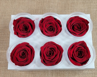 6 Pcs Red Color Rose,  Preserved Rose, DIY Floral Arrangements, Home Decor, Wedding Roses