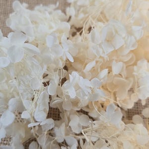 Beige Preserved Hydrangea: Real Dried Wedding Flowers image 7