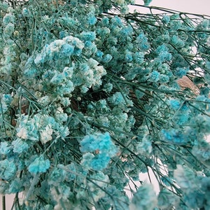 Light Blue Preserved Baby&#39;s Breath Bundle: Natural Gypsophilia