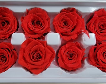 8Pcs Large Size In Red, Floral Arrangements, Colorful Wedding Roses, Preserved Roses, Wedding Decor, Gift Rose Box - 5oz - 2.5" Inches