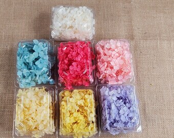Preserved Hydrangeas: Colorful Dried Flowers, Wedding Home Decor