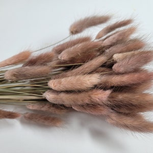 60 strms Yellow Dried Bunny Tail Rabbit Grass Stems Lagurus Grass CHOOSE C0LOR Naturally Dried Boho Wedding Decor. brown