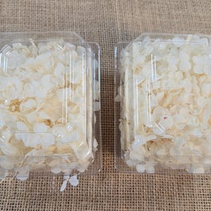 Beige Preserved Hydrangea: Real Dried Wedding Flowers image 4