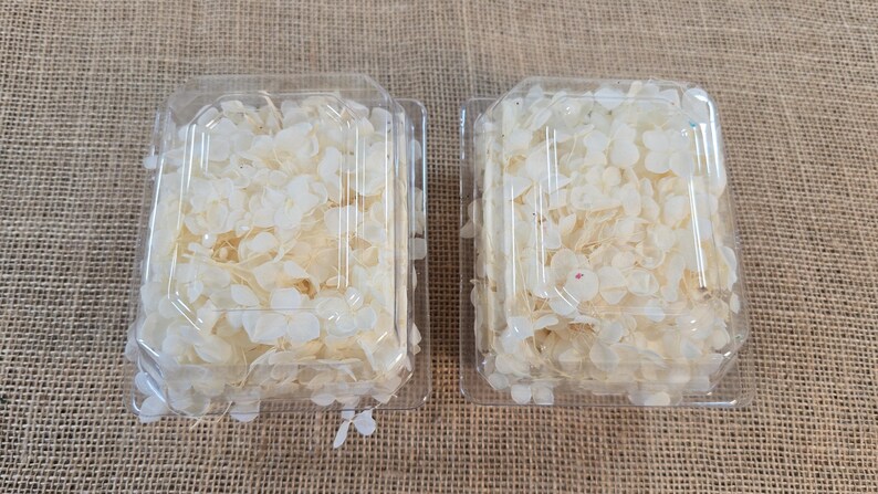 Beige Preserved Hydrangea: Real Dried Wedding Flowers image 4