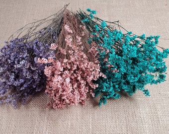 Preserved German Statice, Limonium Dried Flower, Crystal flowers, Floral arrangement, Wedding, DIY flower arranging, 12'' tall,