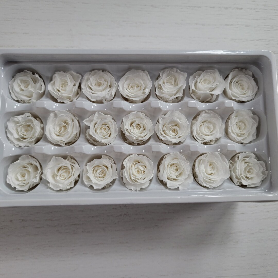 21 White Preserved Roses: Natural Dried Flowers for Wedding Bouquet - Etsy