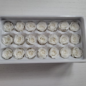 21 White Preserved Roses: Natural Dried Flowers for Wedding Bouquet