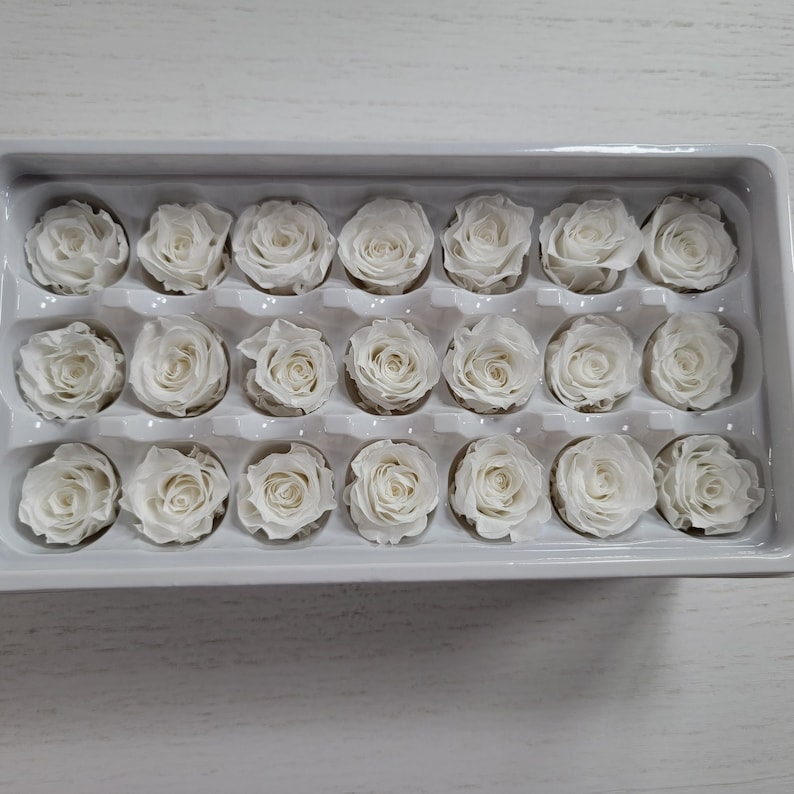 21 White Preserved Roses: Natural Dried Flowers for Wedding Bouquet - Etsy