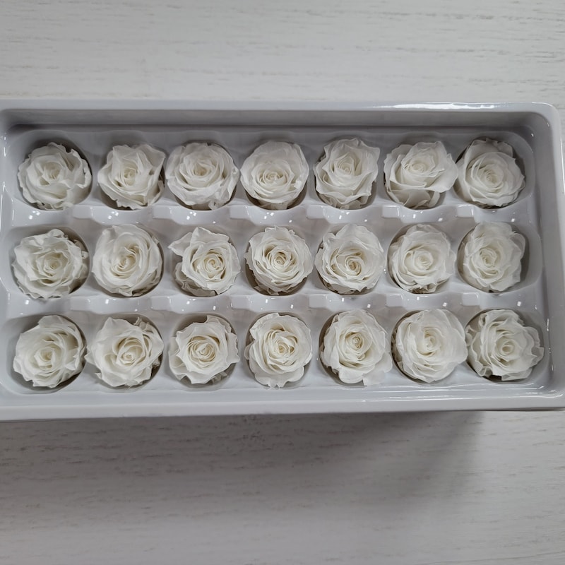 Dried Preserved Orchid - Etsy