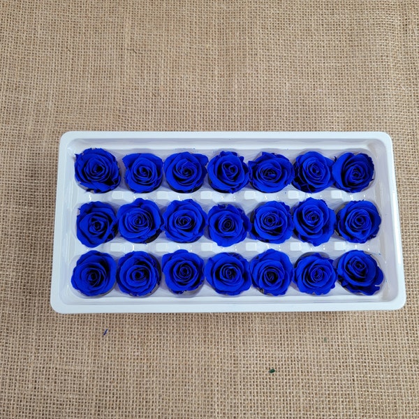 Preserved Roses - Blue - For Prom, Christmas, Wedding - Dried Roses For Bouquet - Eternity Roses - Forever Roses - 21 Pack,