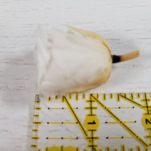 21 White Preserved Roses: Natural Dried Flowers for Wedding Bouquet - Etsy