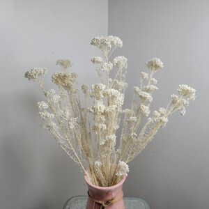 White Preserved rice flower, flowers for bouquets, wedding flowers, filler, dried flowers arrangements, Wedding decor, 1920tall, image 3