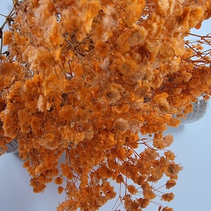 Orange Preserved Baby&#39;s Breath Bundle: Natural Gypsophila, Dried Flowers