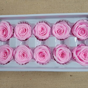 10 Pink Preserved Roses: DIY Wedding Floral Supplies, 2&quot;
