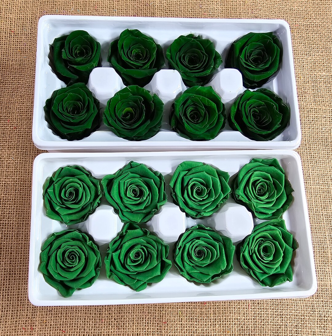 Dark Green Preserved Roses: Wedding Bouquet, Prom Decor - Set of 8 - Etsy