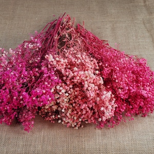 Hot Pink Preserved Baby&#39;s Breath Bundle: Natural Gypsophilia, Unbleached