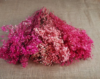 Hot Pink Preserved Baby's Breath Bundle: Natural Gypsophilia, Unbleached