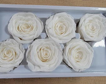 6 Rose Large in Pure White color, floral arrangements, White Wedding roses, Preserved roses, preserved flowers, Wedding decor