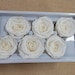 see more listings in the Preserved Roses section