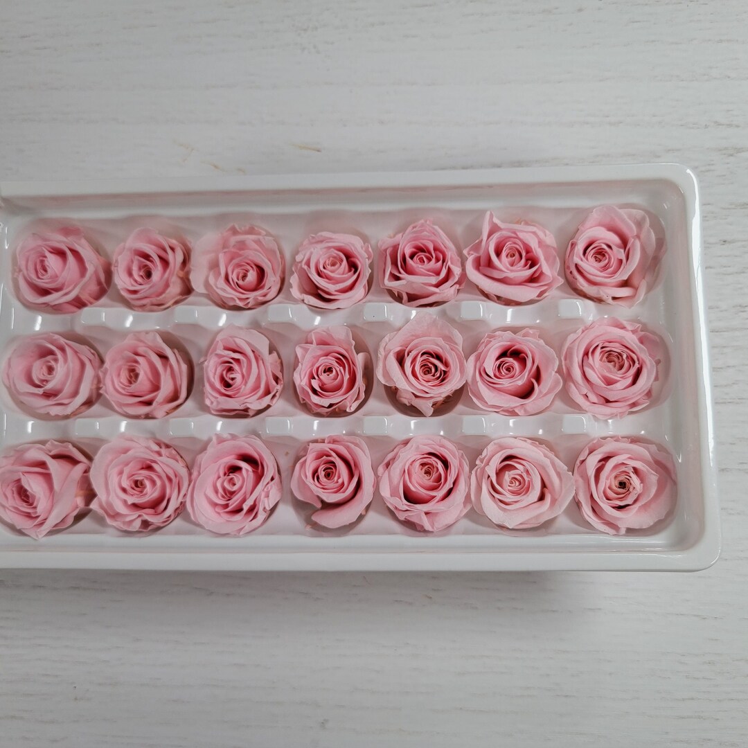 21 Preserved Pink Roses: DIY Wedding & Home Floral Decor - Etsy