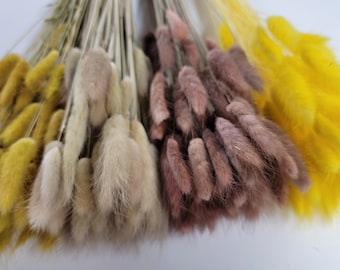 60 Stems Yellow Dried Bunny Tail Grass: Boho Wedding Decor