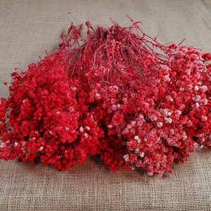 Red Preserved Baby&#39;s Breath Bundle: Natural Gypsophilia