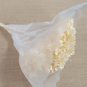 May include: A clear plastic bag filled with dried white hydrangea flowers.
