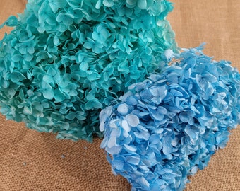 Blue Preserved Hydrangea: Real Dried Wedding Flowers