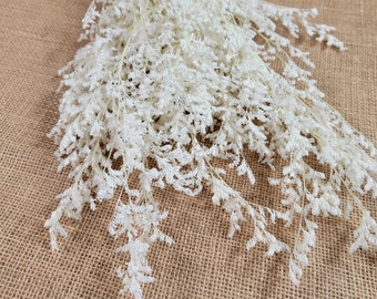 Caspia in White color, Soft preserved Floral arrangements, White flowers, wedding decor, Home decor, DIY Flowerl arrangements, gift