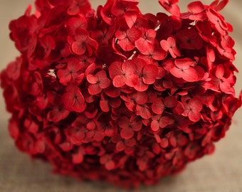 Red Preserved Hydrangea: Real Dried Wedding Flowers