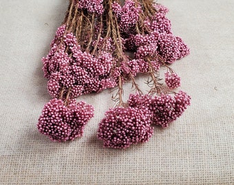 Light Purplish Red Preserved Rice Flower: Dried Floral Arrangement (19-20&quot; Tall)